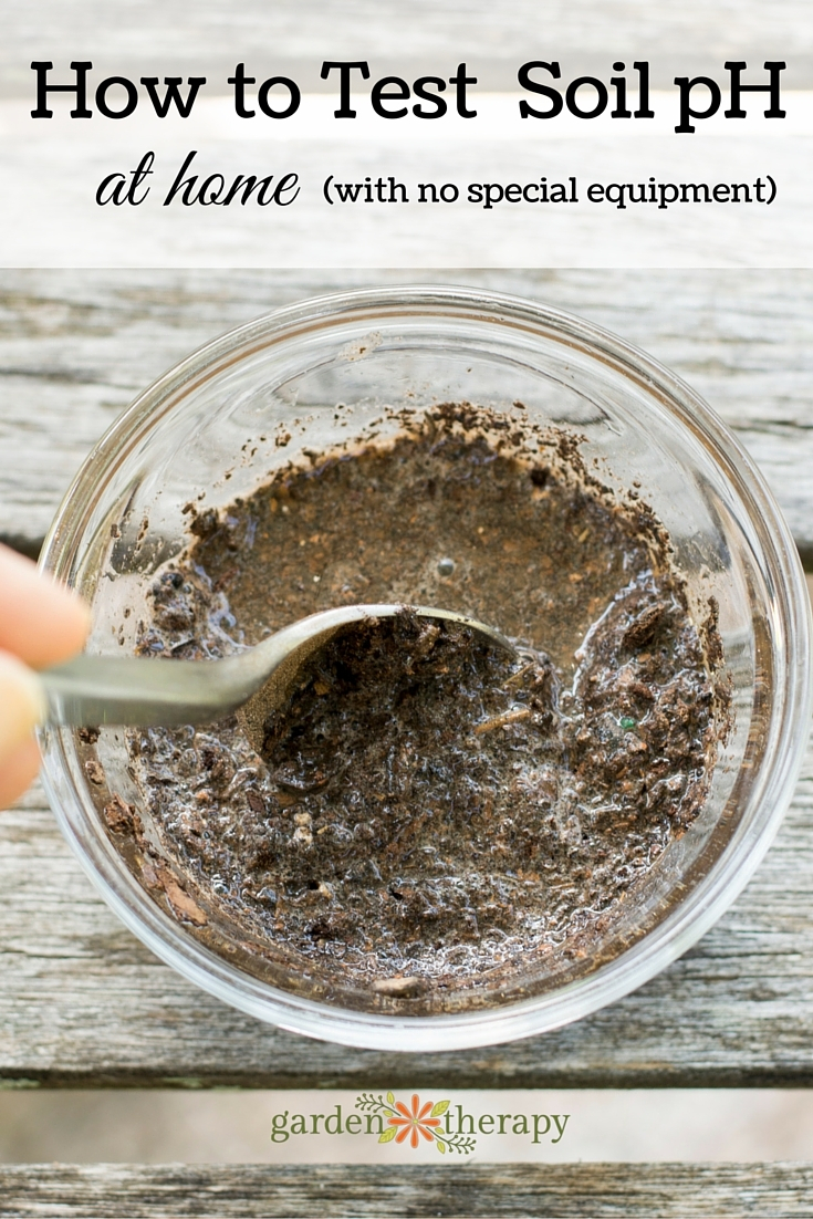 How To Ph Soil Test At Home (No Special Equipment Needed!) within How To Test Soil Ph At Home