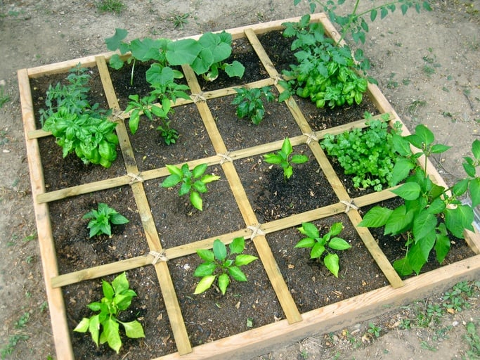 How To Plan A Square Foot Vegetable Garden - The Easiest Way To Grow ... regarding Designing your ideal backyard vegetable plot with the square foot technique