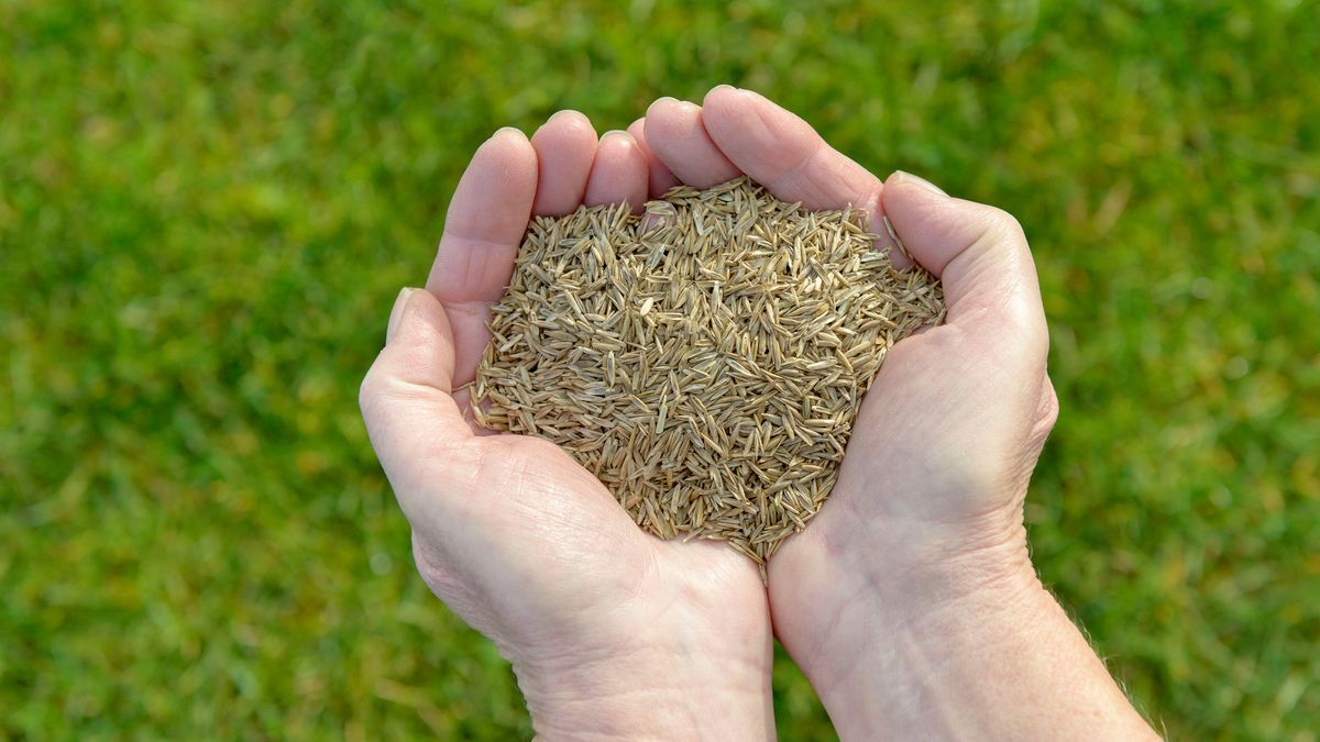 How To Plant Grass Seed: The Best Ways To Sow And Grow A Lawn, Fast ... in When To Plant Grass Seed By Zone