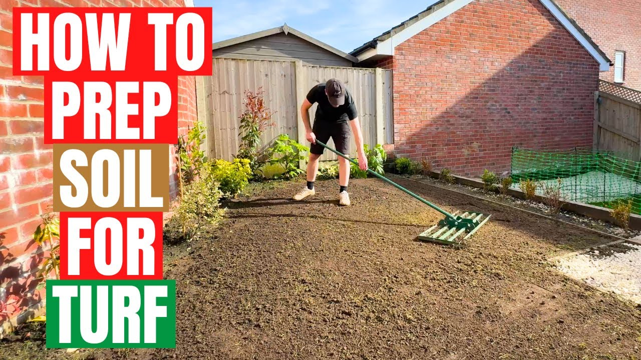 How To Prepare Soil For Laying Turf - Youtube inside Five steps to transform ugly bare ground into thick lush turf quickly