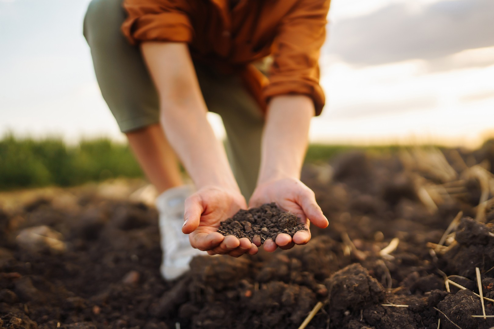 How To Prepare Your Soil For A Bountiful Vegetable Harvest in Everything You Need to Know About Soil and Spacing for a Bountiful Home Harvest