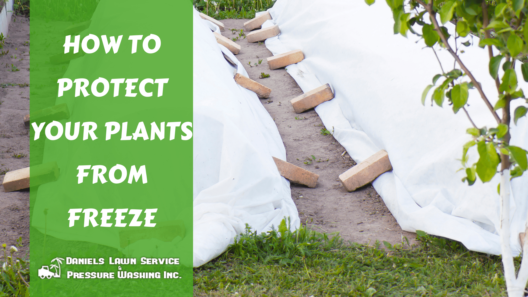 How To Protect Your Plants From Freeze – Welcome To Daniel&amp;#039;s Lawn ... in Fall Yard Cleanup Landscaping Tips