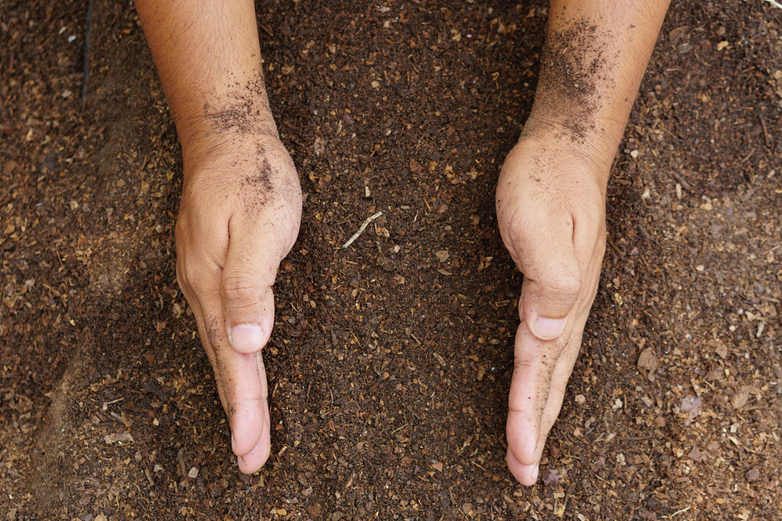 How To Test Your Soil Ph At Home – Easy & Natural Methods - Recipes4Home within How to easily test your soil pH at home using simple kitchen staples