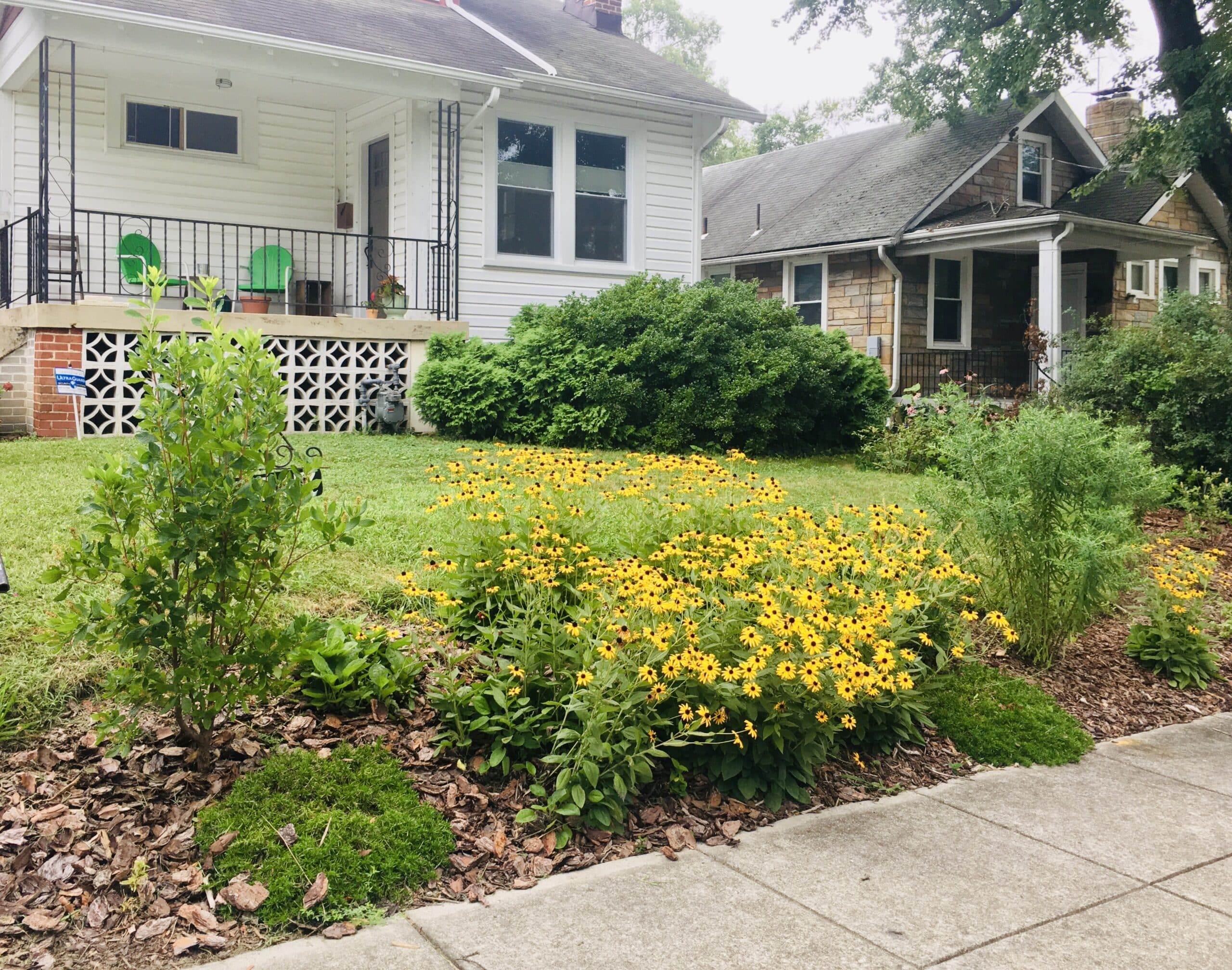 How You Can Help Change The Perception Of A "Messy" Yard - Alliance For ... in One Day Yard Makeover Ideas Cheap