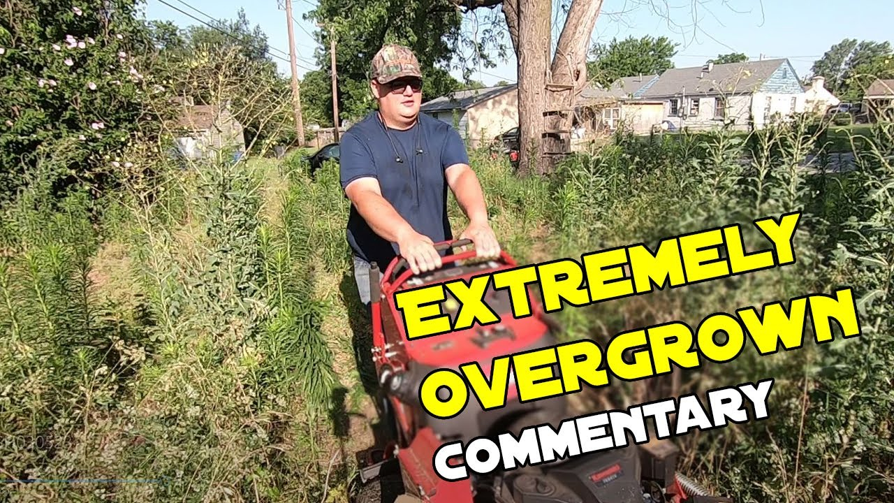 Insanely Overgrown Yard Clean Up ( Free ) - Youtube with How to accurately budget for clearing an overgrown yard this season