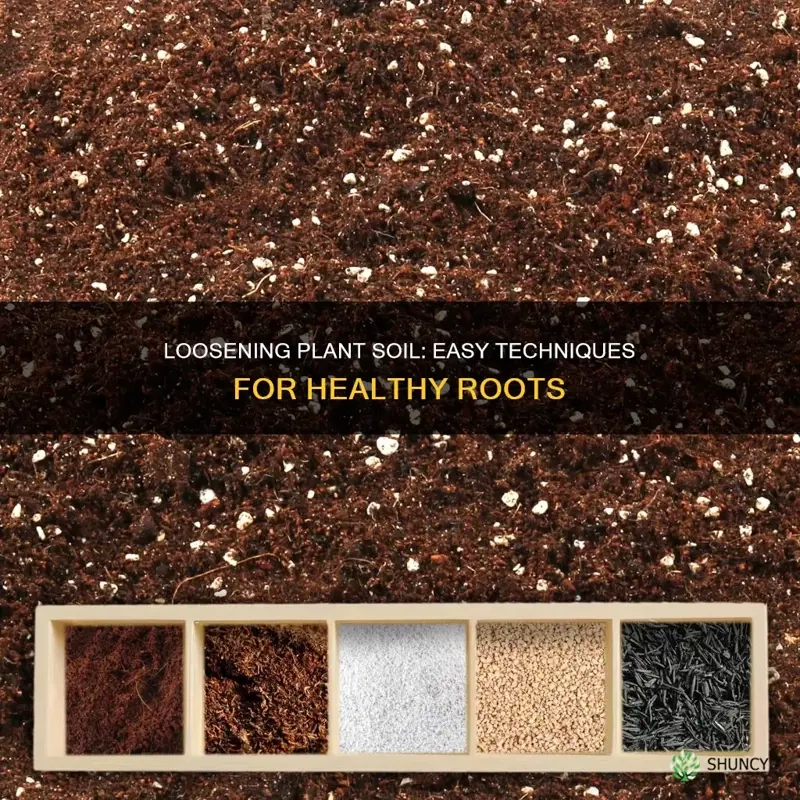 Loosening Plant Soil: Easy Techniques For Healthy Roots | Shuncy for How To Amend Clay Soil For Landscaping