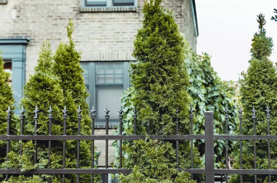 Making Use Of Evergreens To Boost Cold Weather Curb Appeal in Winter Landscaping Ideas Curb Appeal
