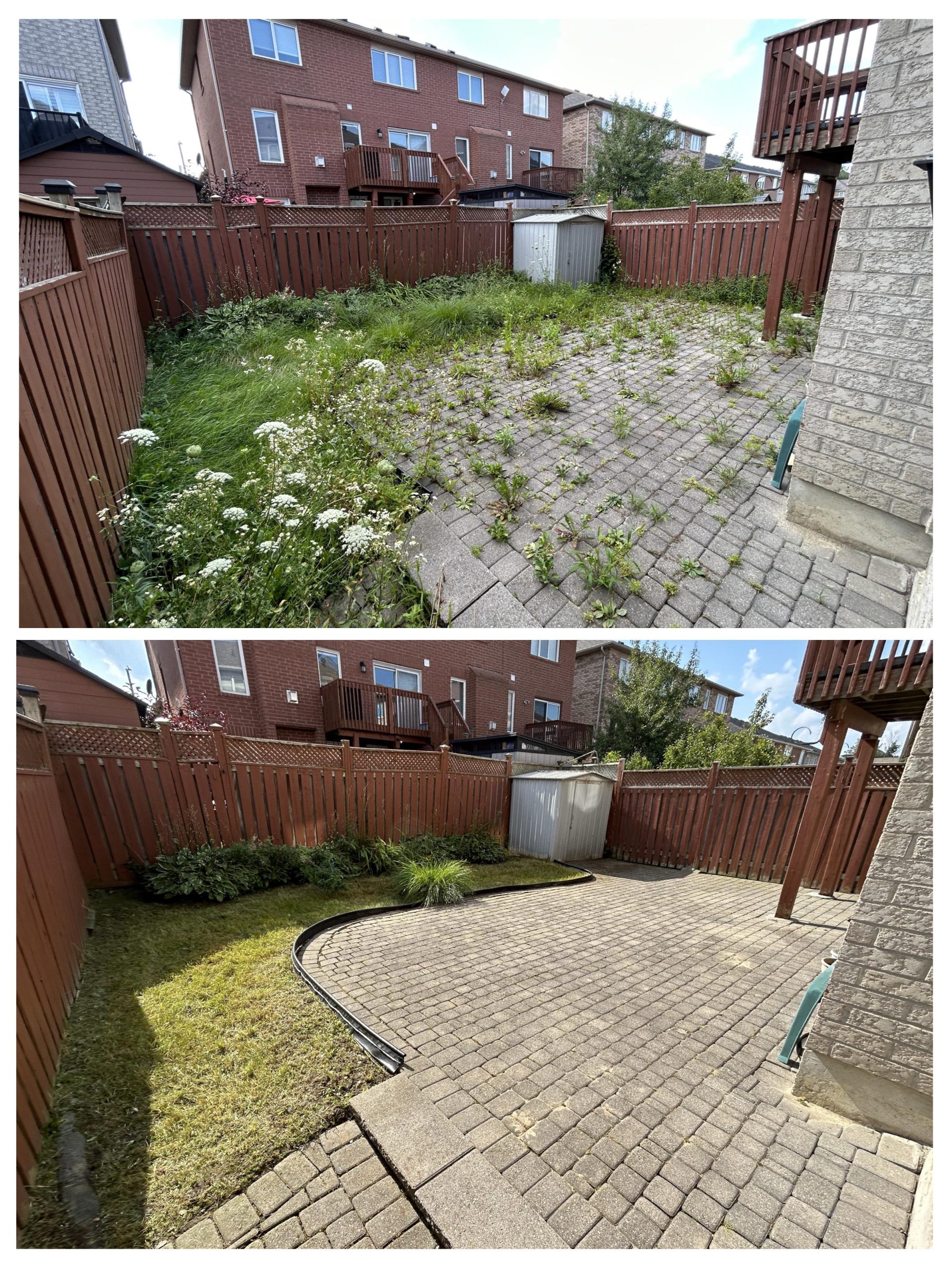 Messy Yard Before And After inside How to transform your messy backyard in a single afternoon without breaking the bank