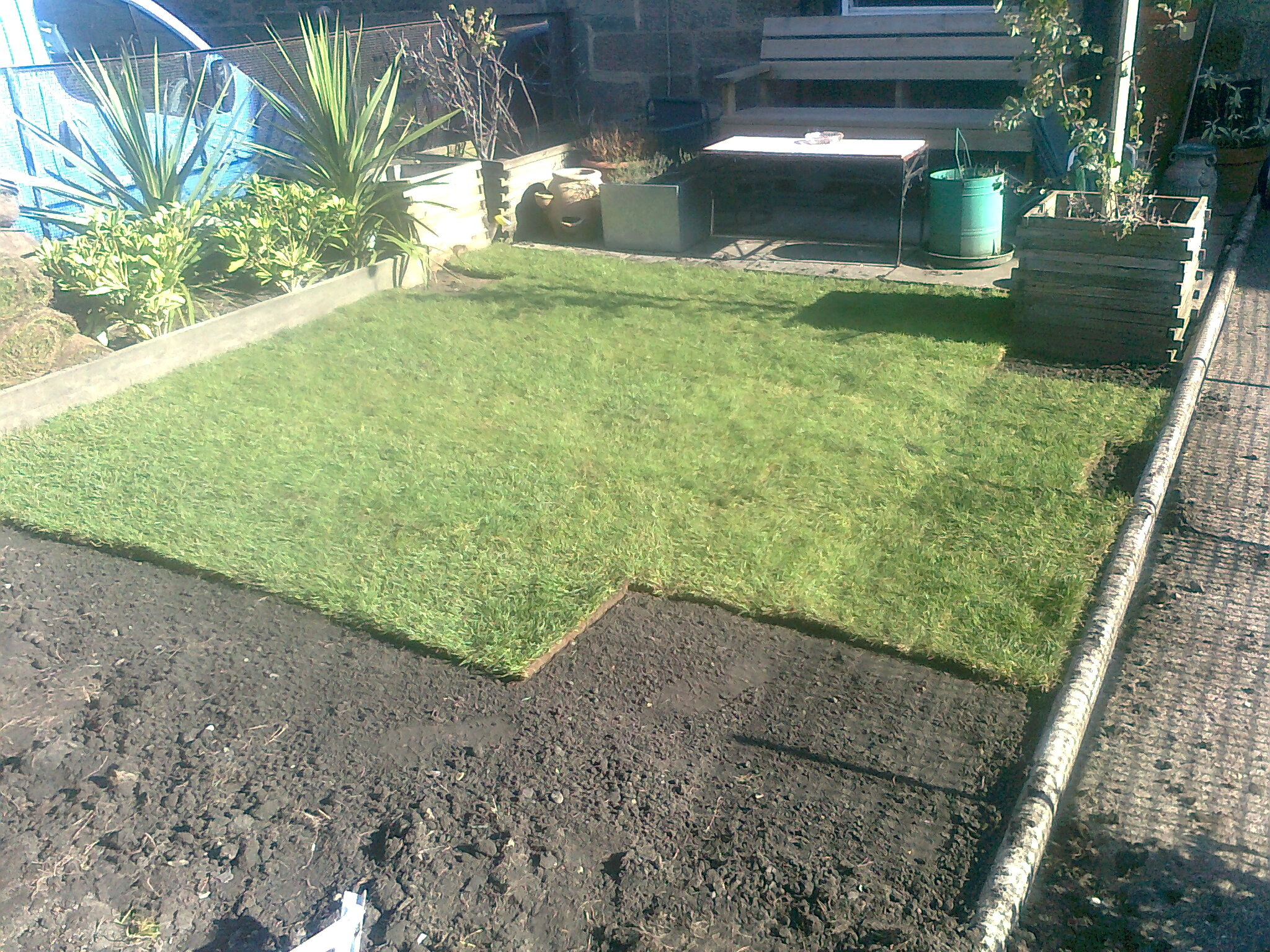 New Lawn Preparation For Seeding And Turfing | Lawns For You intended for How To Grow Grass In Bare Spots Fast