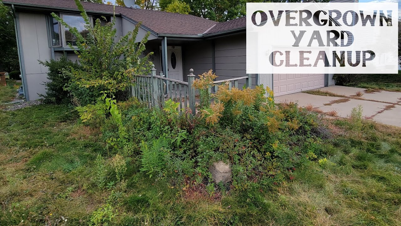Overgrown Yard Cleanup | Overhaul With Equipment | Time-Lapse | 4K ... inside Seasonal Yard Cleanup Cost Estimate
