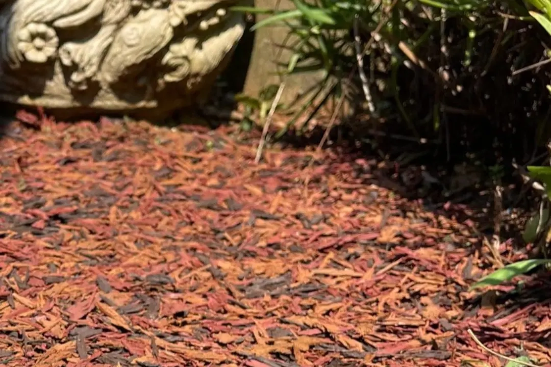 Rubber Mulch | Australian Surfacing Supplies with regard to Is the Higher Initial Investment of Rubber Mulch Worth the Long Term Savings