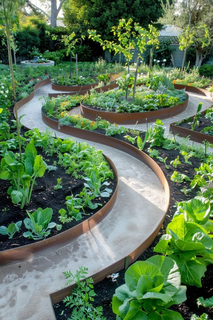Small Raised Bed Vegetable Garden Layout | Vegetable Bed Design, Curved ... pertaining to The complete guide to laying out and building curved raised garden beds in 2026