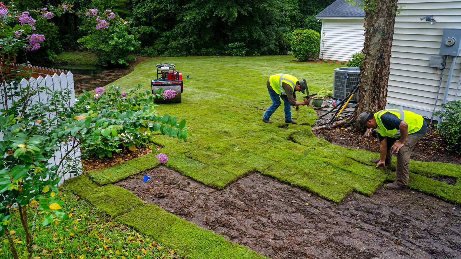 Sod Installation For A Beautiful Lawn | Creech Landscape pertaining to How Much To Budget For Landscaping New Home