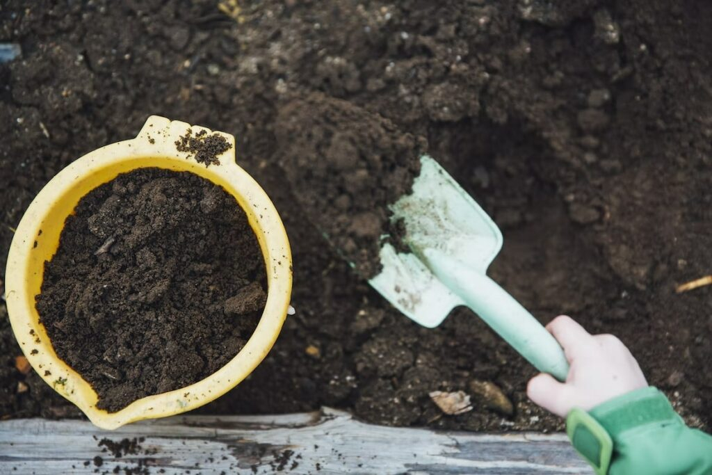 Soil Compaction In Pots: Prevention And Tips To Loosen Soil [2026] regarding Real ways to loosen compacted clay soil for a healthier landscape in 2026