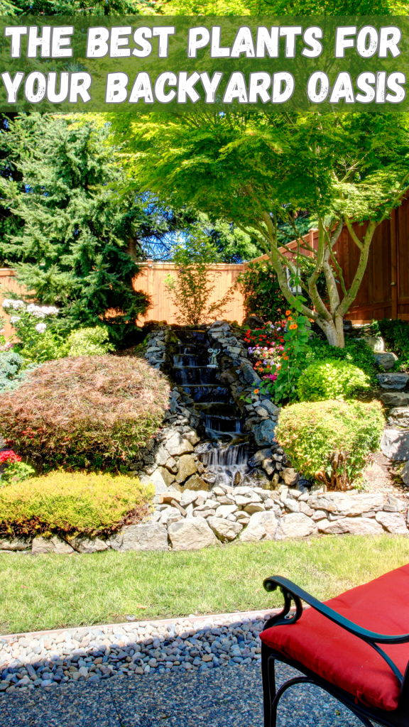 The Best Plants For Your Backyard Oasis 🏡🌿 - Dekorationsideen within How To Design A Backyard Layout