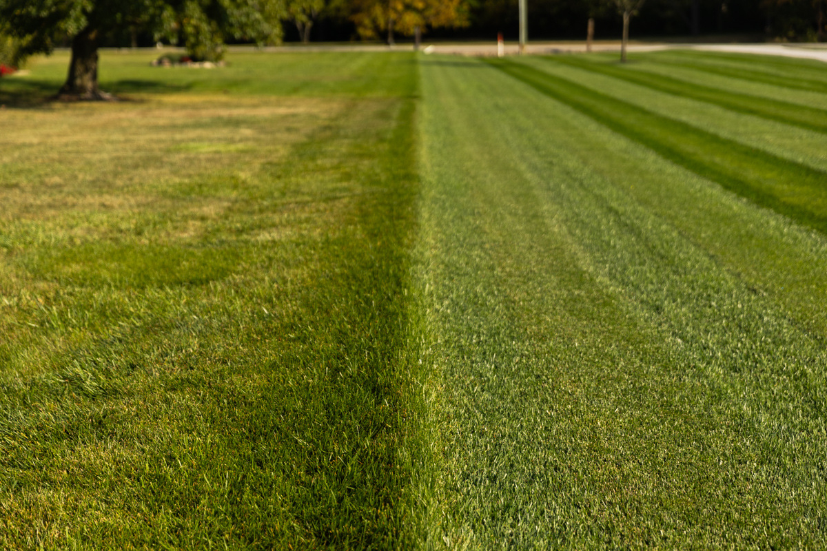 The True Cost Of Diy Lawn Care & Why Hiring The Pros Pays Off for How Much Does Lawn Mowing Service Cost
