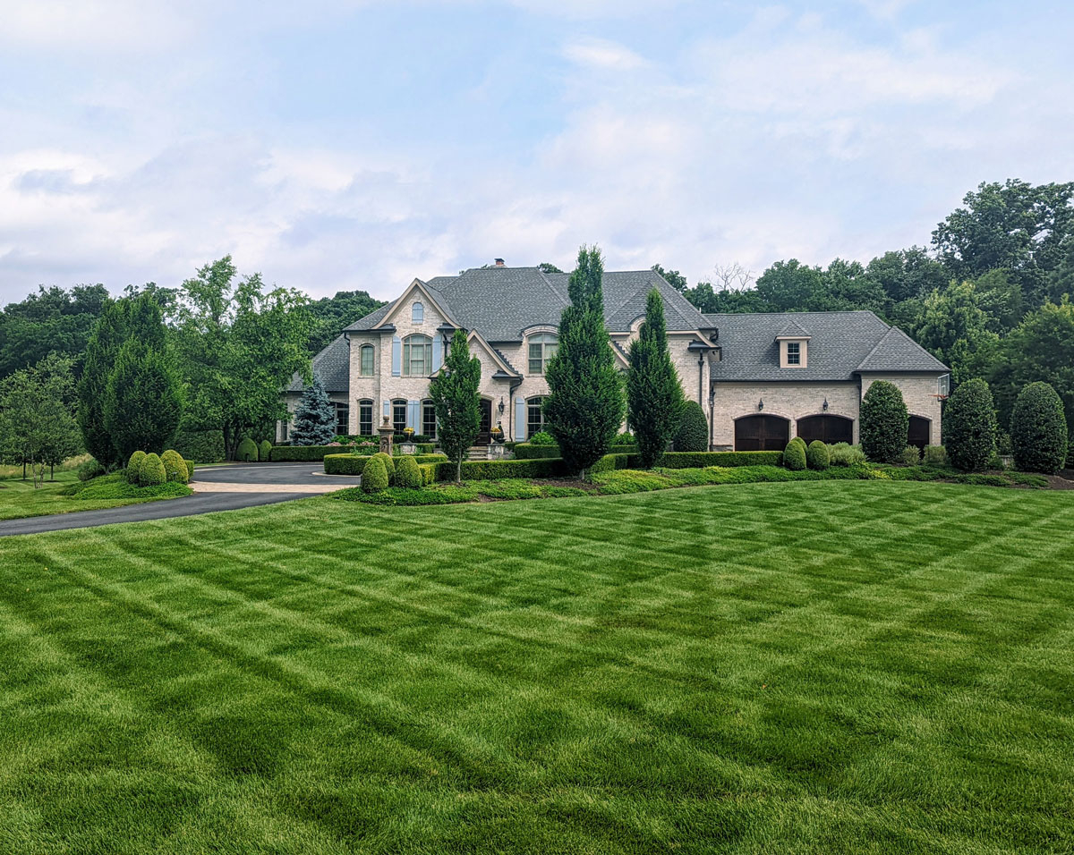 Understanding Lawn Care Costs: What You Should Expect - Kane Landscape ... for How Much Does Overseeding Cost
