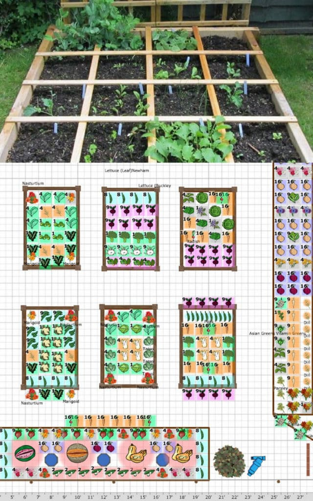 Vegetable Garden Layout: 7 Best Design Secrets - A Piece Of Rainbow for Square Foot Gardening Layout Beginner