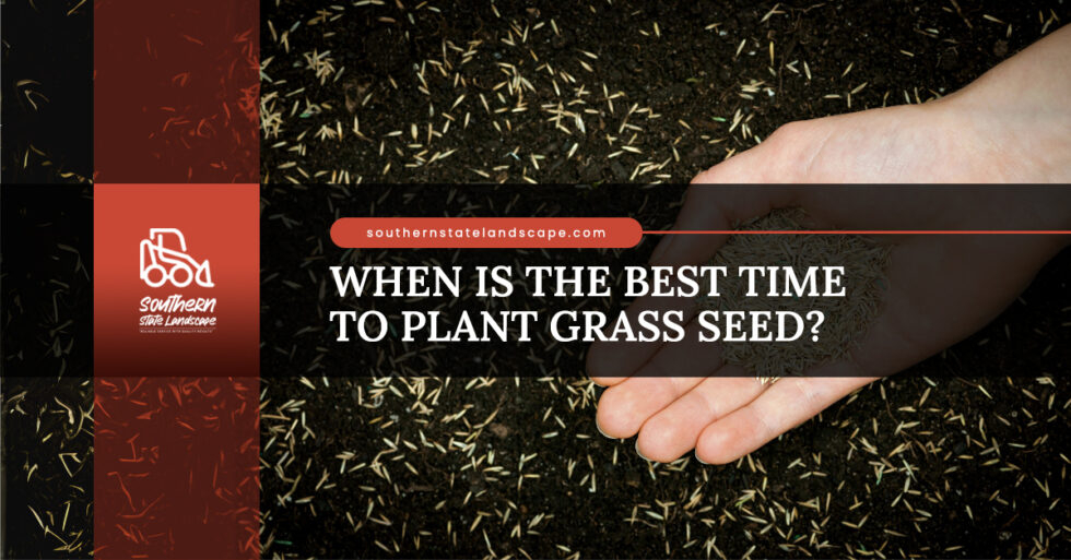 When Is The Best Time To Plant Grass Seed? - Southern State Landscape for Why Spring Might Not Be the Best Time to Plant Grass Seed in Your State