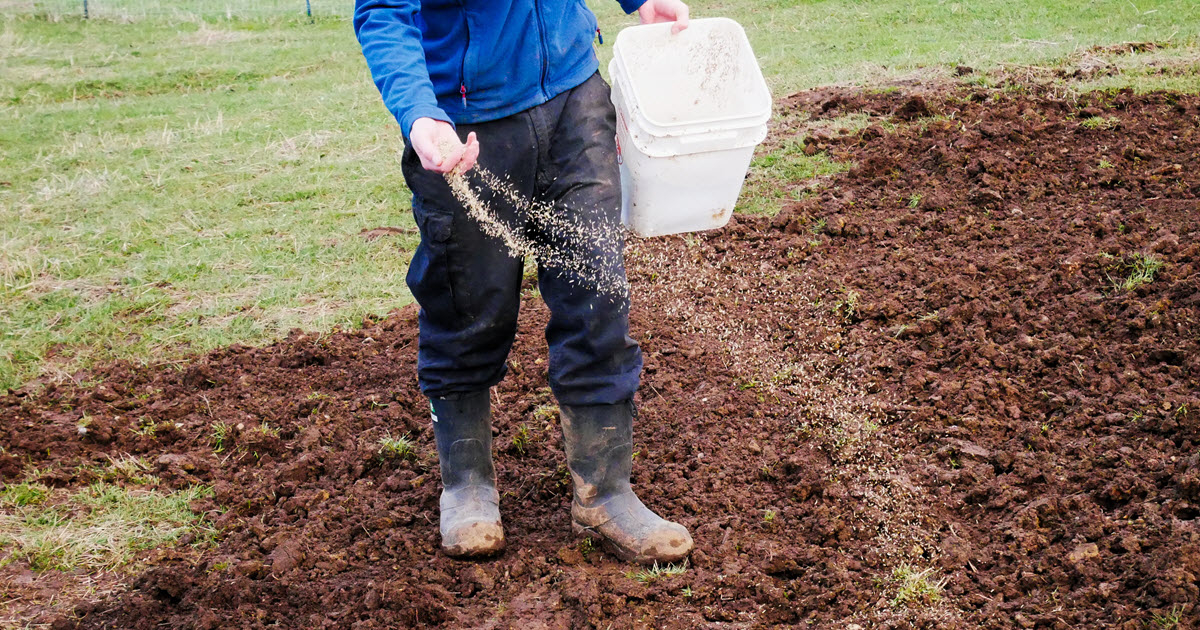 When To Plant Grass Seed (In Every State & Usda Growing Region) for When To Plant Grass Seed By Zone