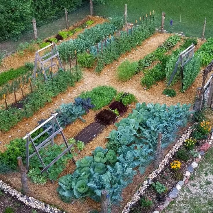 You Must Know This Planting Calendar To Achieve A Bountiful Autumn And ... regarding Everything You Need to Know About Soil and Spacing for a Bountiful Home Harvest