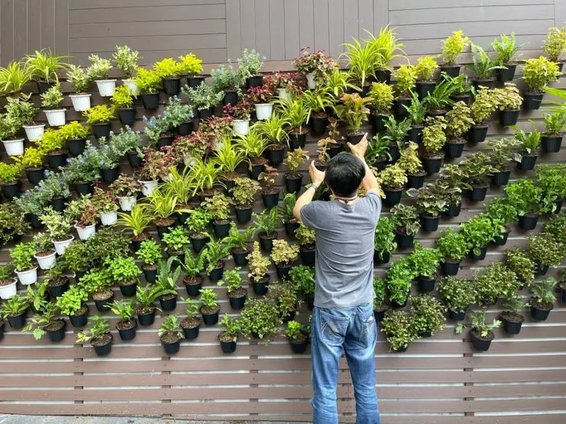 10 Exciting Garden Trends In 2025 You’ll Want To Try throughout Practical steps for building a thriving vertical garden in 2026