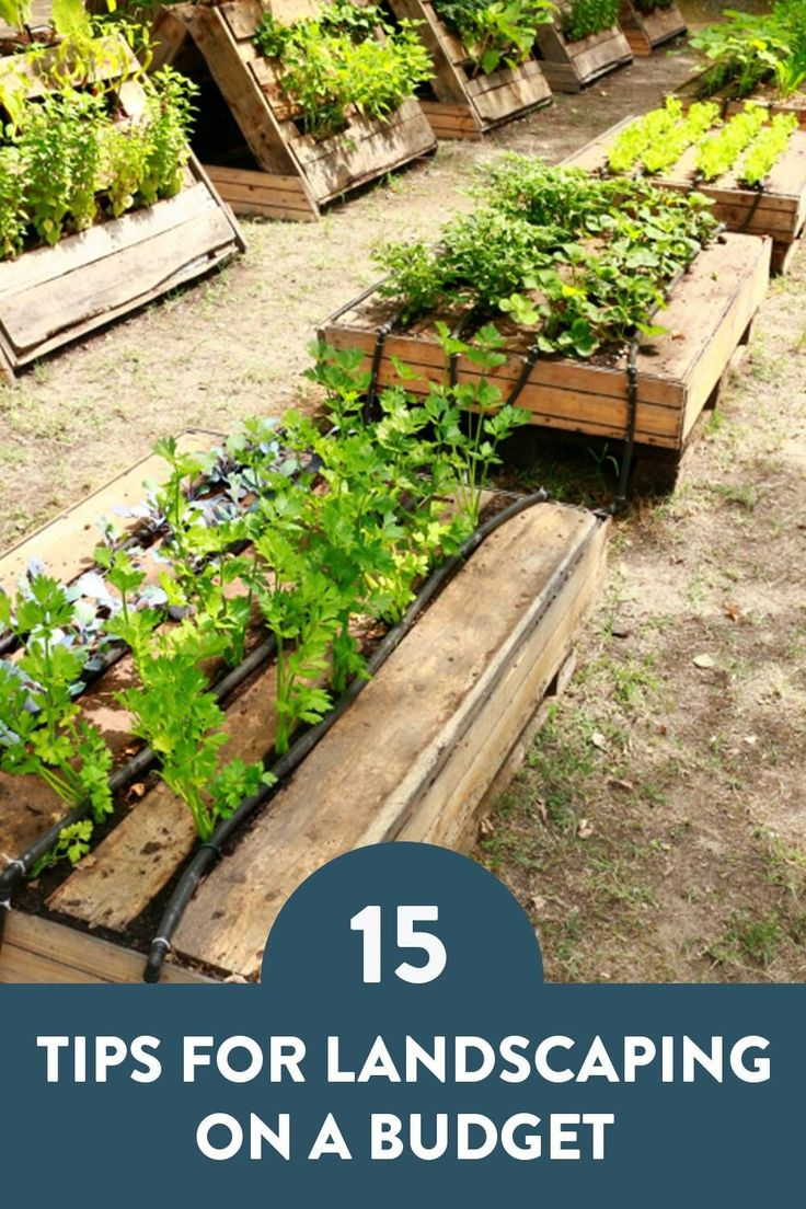 15 Tips For Landscaping On A Budget | Landscaping Inspiration, Budget ... in Smart Budgeting Tips for Your Next Landscaping Soil Project
