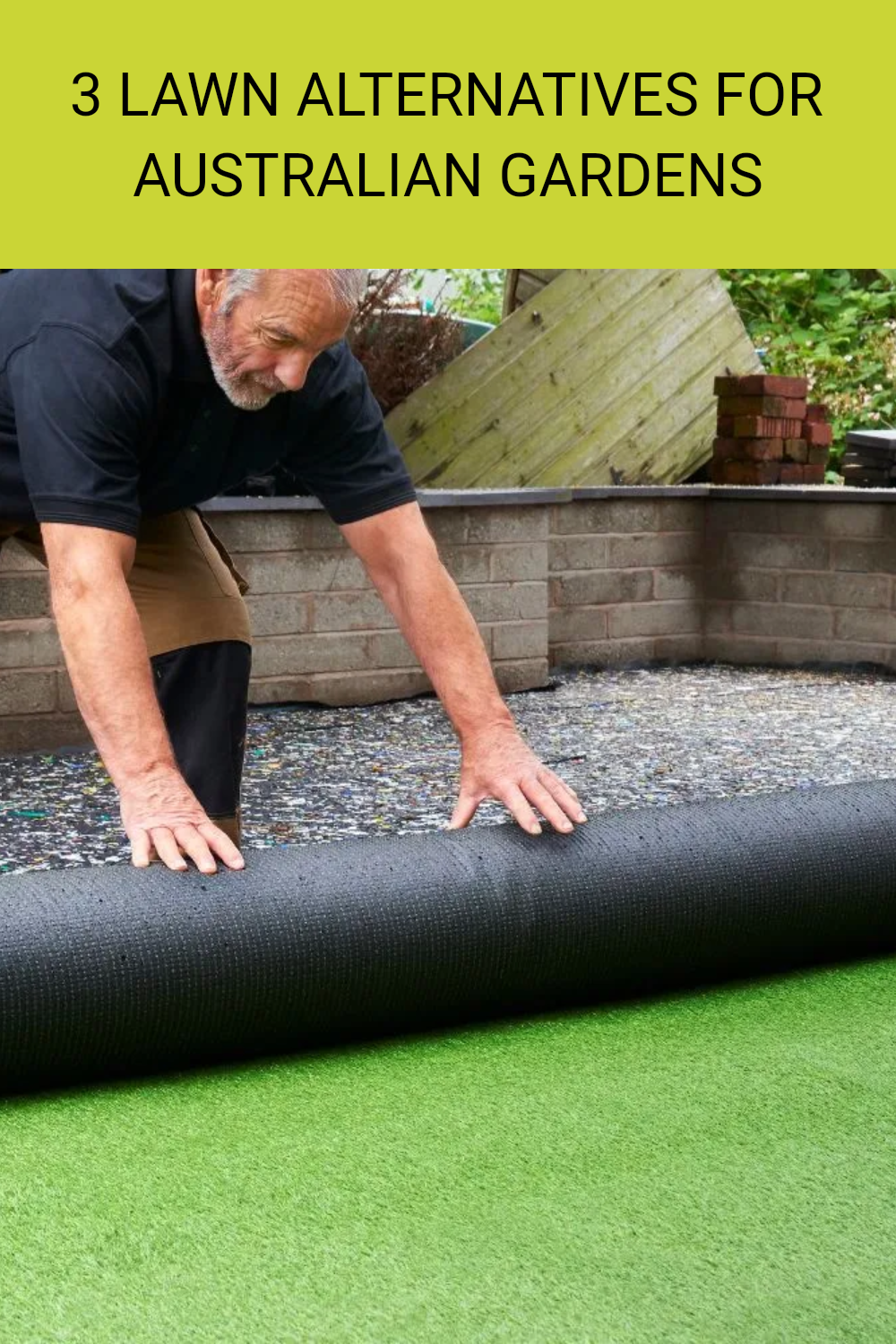 3 Lawn Alternatives For Australian Gardens Di 2024 with How To Grow Clover Lawn Alternative