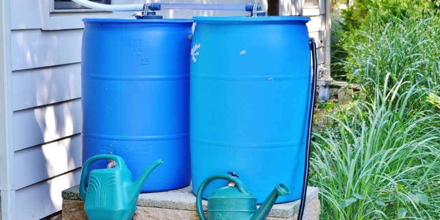 3 Reasons To Use Rain Barrels To Conserve Water In Your Backyard Garden throughout Rain Barrel Cost And Savings