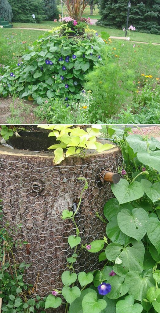 Best 26 Ideas Of Decorating Or Hiding A Tree Stump for Creative garden layouts that hide unsightly tree stumps while improving soil health