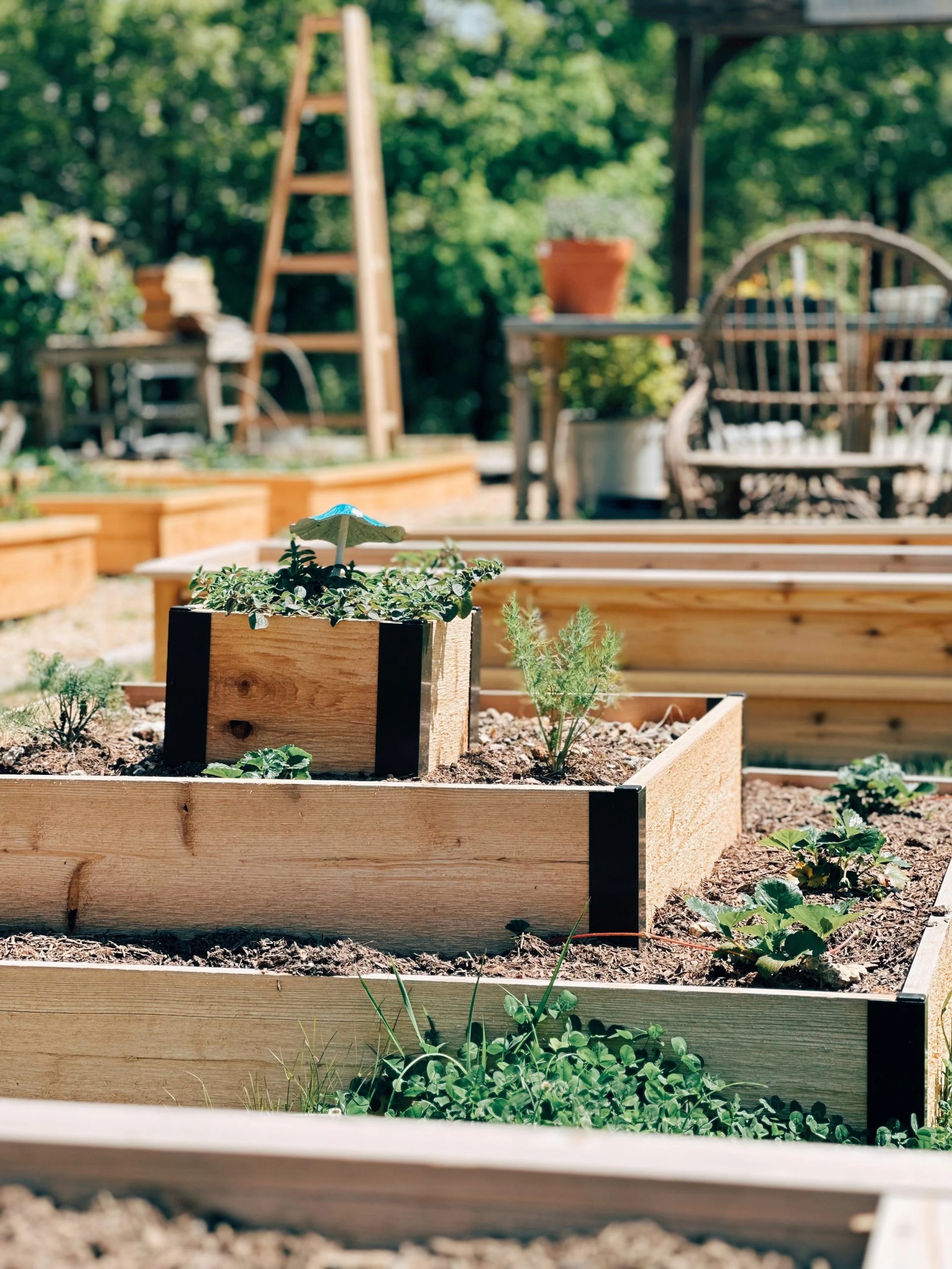 Gardening In Raised Beds With Gardener&amp;#039;s Supply Company - Azure Farm with regard to Raised Garden Bed Ideas Backyard