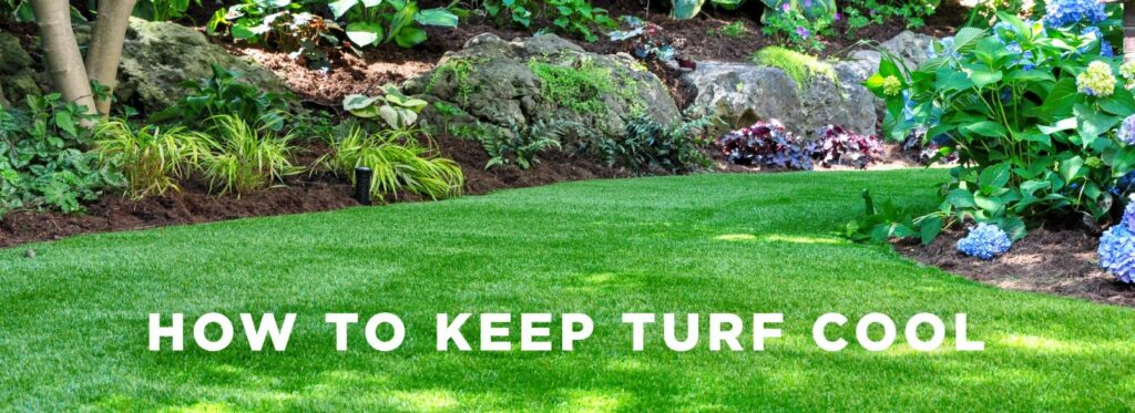How To Keep Turf Cool: Essential Tips For Heat Management | Turf Factory intended for How To Grow Clover Lawn Alternative