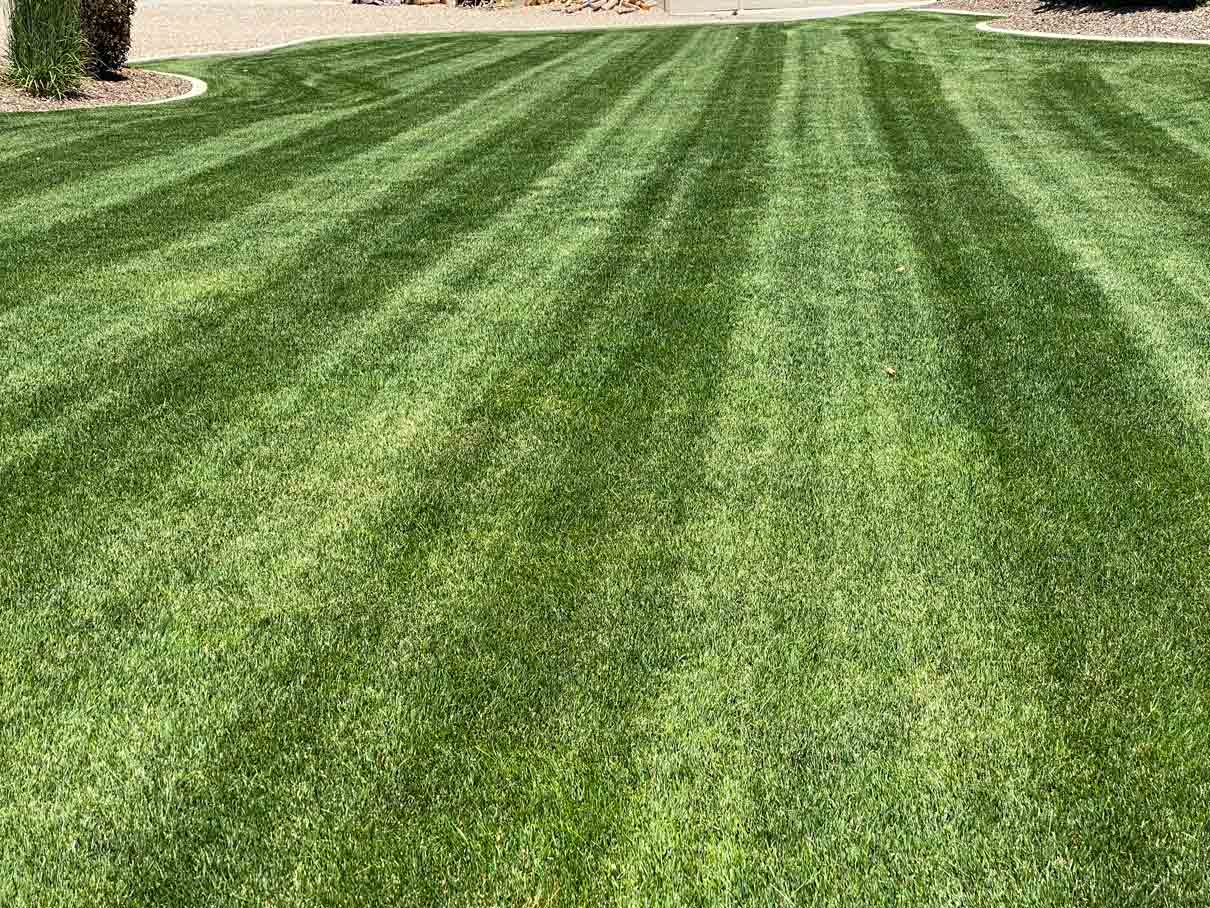 How To Stripe My Lawn - Tuxedo Yard Care with regard to Lawn Striping At Home Tips
