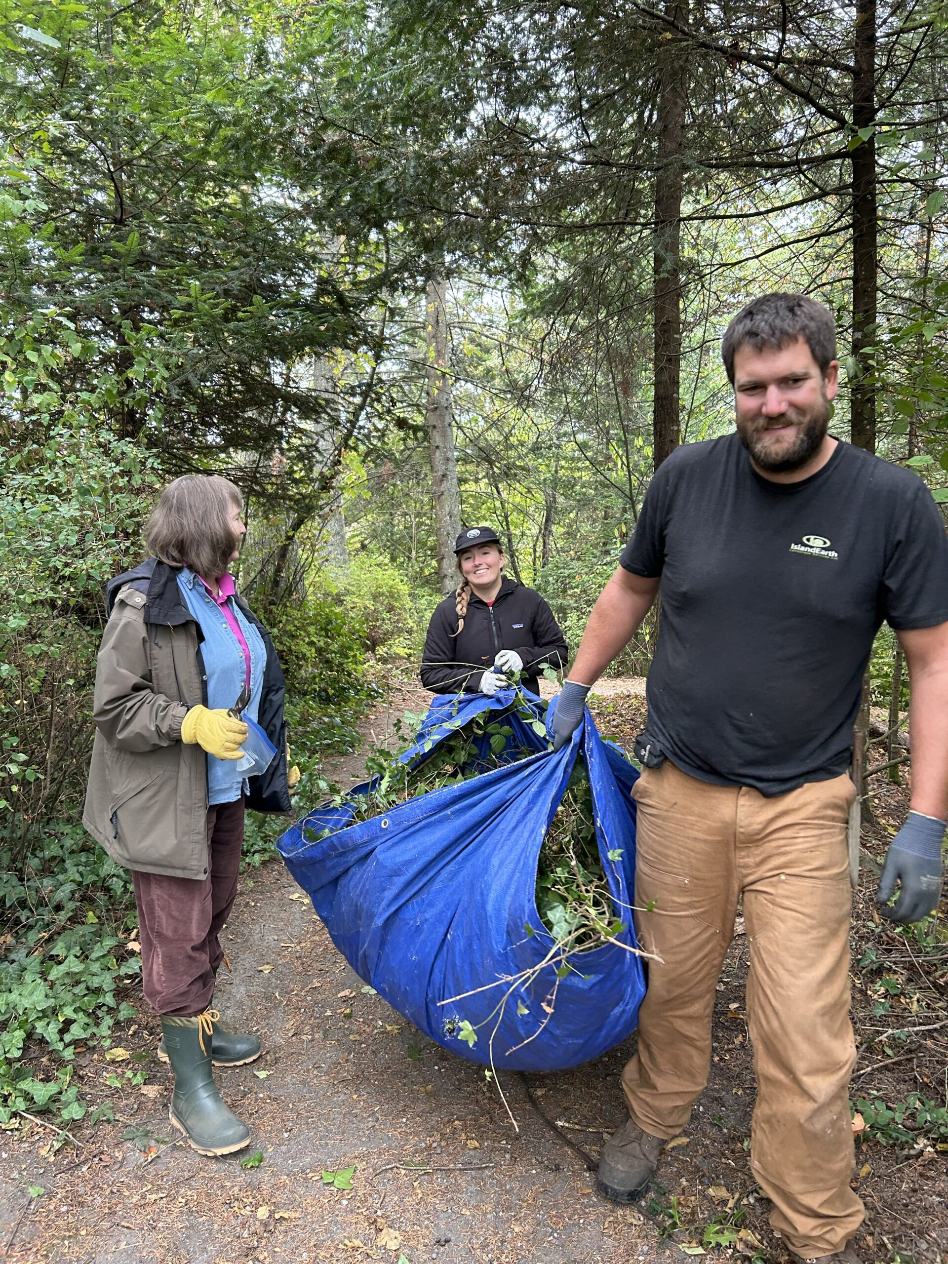 Invasive Species Removal And Native Tree Planting At Peter Grant Park ... regarding How Planting Invasive Species Can End Up Costing Thousands in Removal Fees