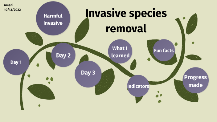 Invasive Species Removal By Amani Gupta On Prezi pertaining to Landscaping Mistakes That Cost Money