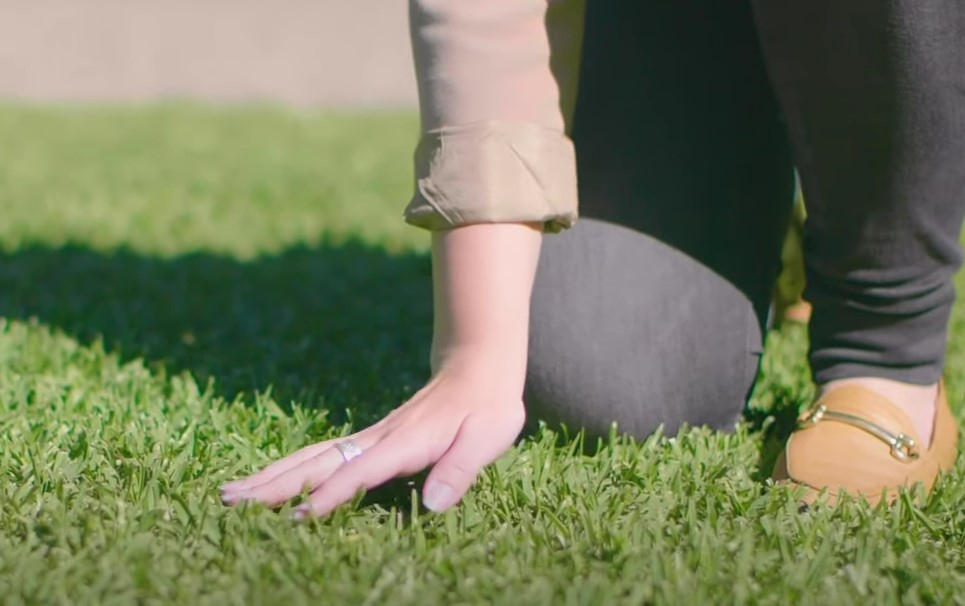Keep It Natural - Turf New South Wales for Natural ways to keep your alternative turf thriving through the summer heat