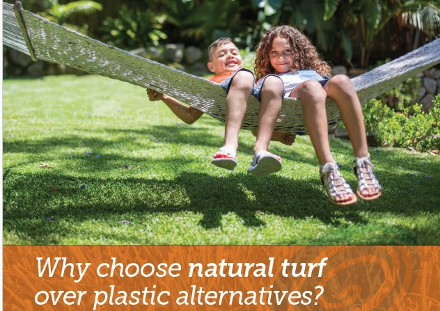 Keep It Natural - Turf New South Wales within How To Grow Clover Lawn Alternative