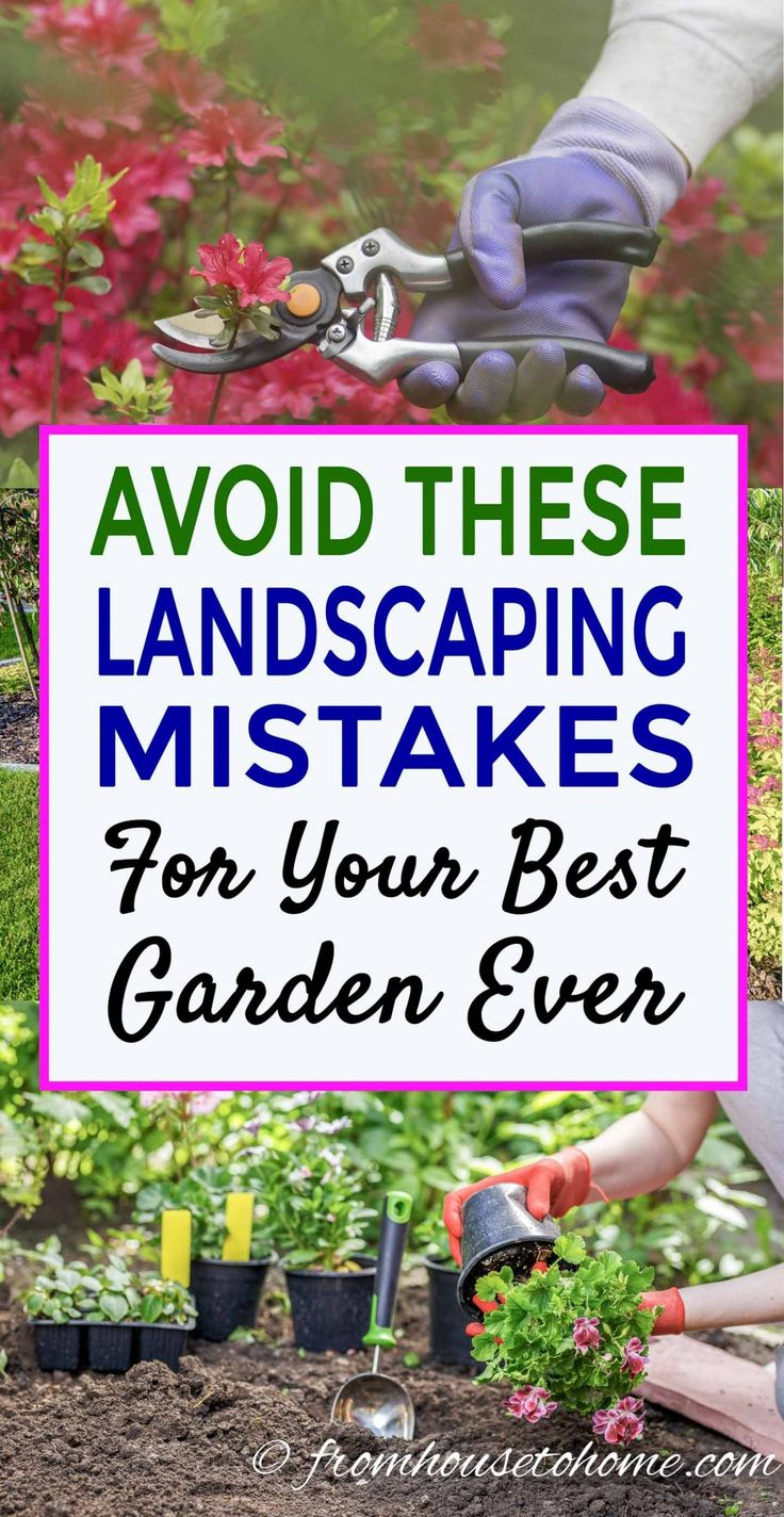 Landscaping Mistakes: Avoid These 10 Common Issues For Your Best Garden ... inside Avoiding the Landscaping Mistakes That Drain Your Wallet Instead of Building Equity