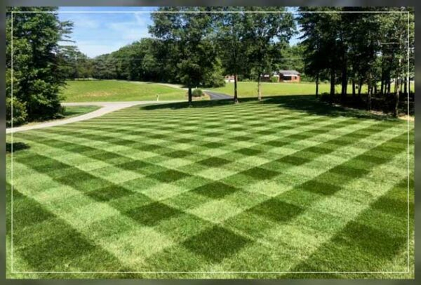 Lawn Striping: Methods And Tips - Al Ardh Alkhadra for Lawn Striping At Home Tips