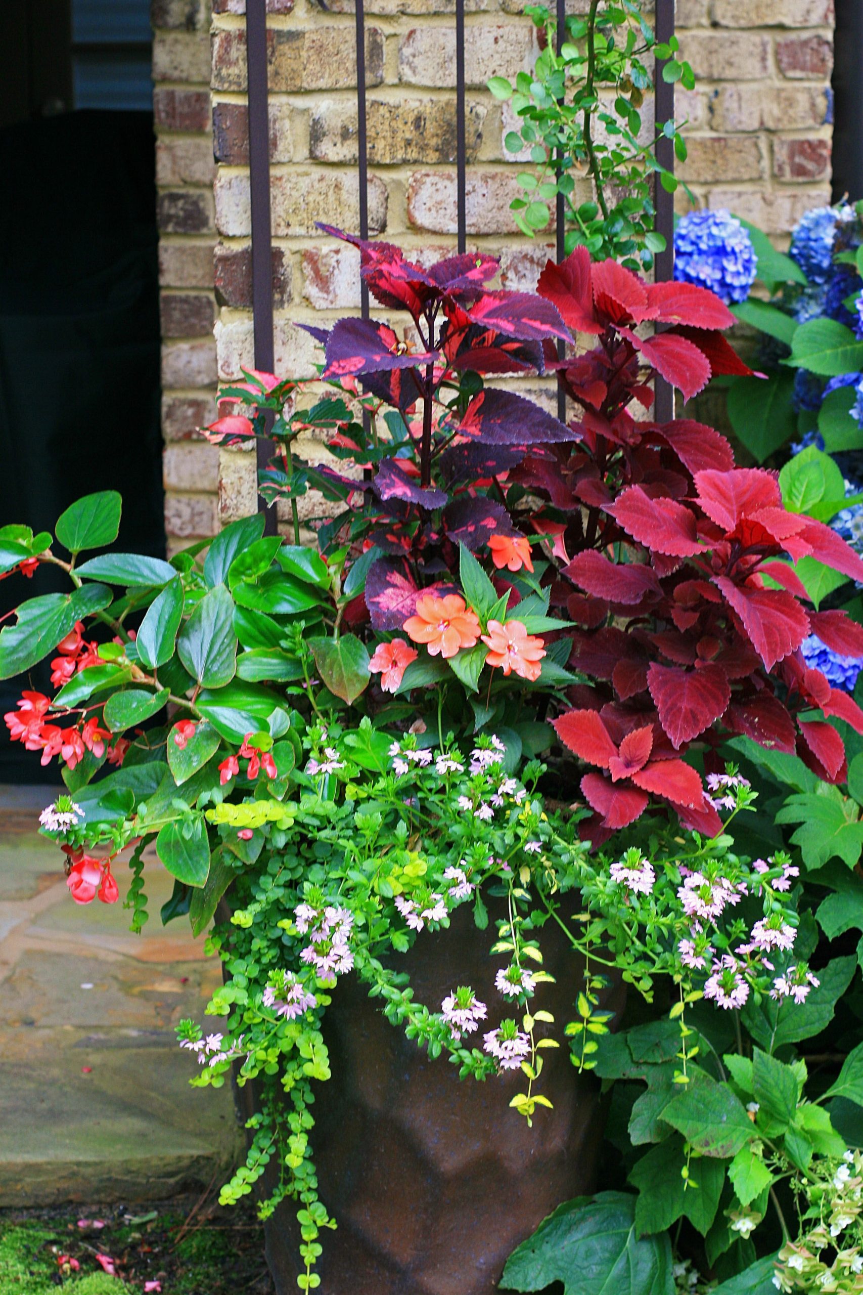 Part Shade Container Combines Both Blooms And Leaves For Color, Texture ... in Container Garden Landscaping Ideas Patio