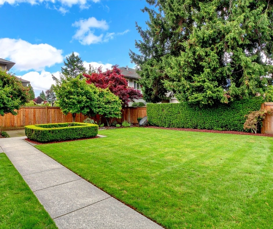 Planning A Backyard Patio Project? | Paz Landscaping in What Real Estate Appraisers Wish Homeowners Knew About Yard Upgrades