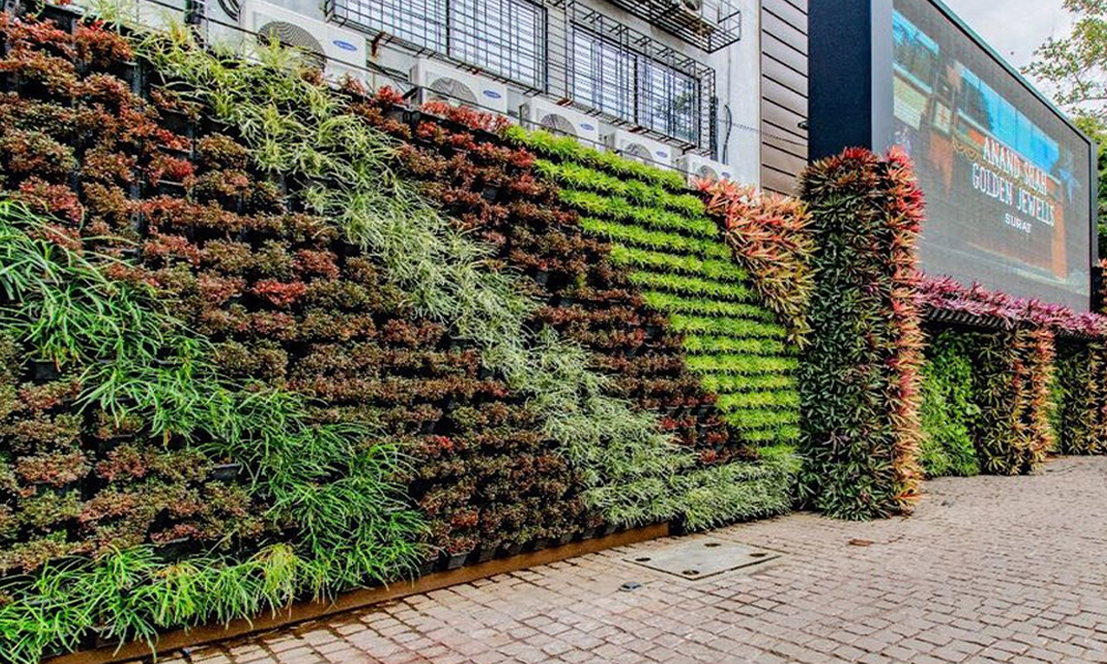 Transforming Urban Spaces: How Vertical Gardens Are Changing Lives throughout Vertical Garden Wall Ideas Outdoor