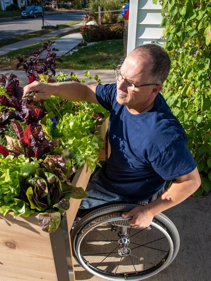 Why More Gardeners Are Switching To Elevated Beds This Season