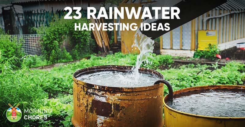 23 Awesome Diy Rainwater Harvesting Systems You Can Build At Home for How Catching Rain Transforms Your Backyard and Your Water Budget