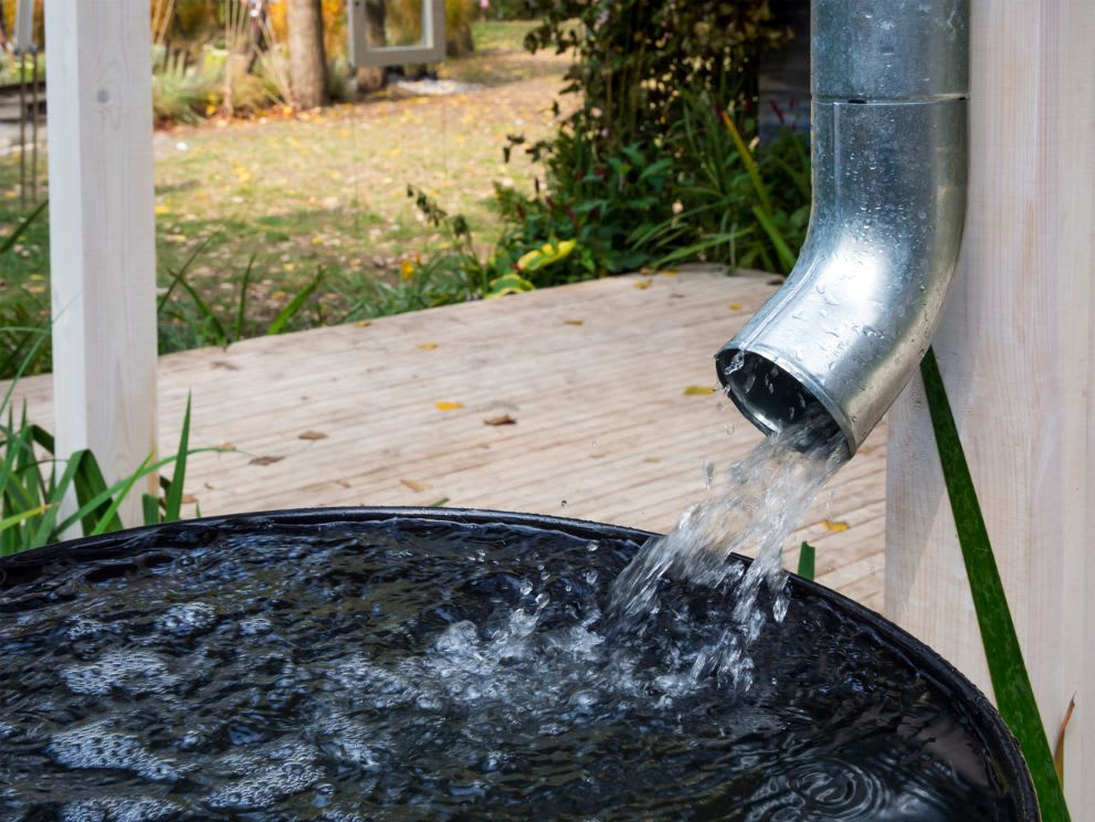 24 Affordable Backyard Landscaping Ideas On A Budget for How Much Does Rain Barrel Save On Water Bill