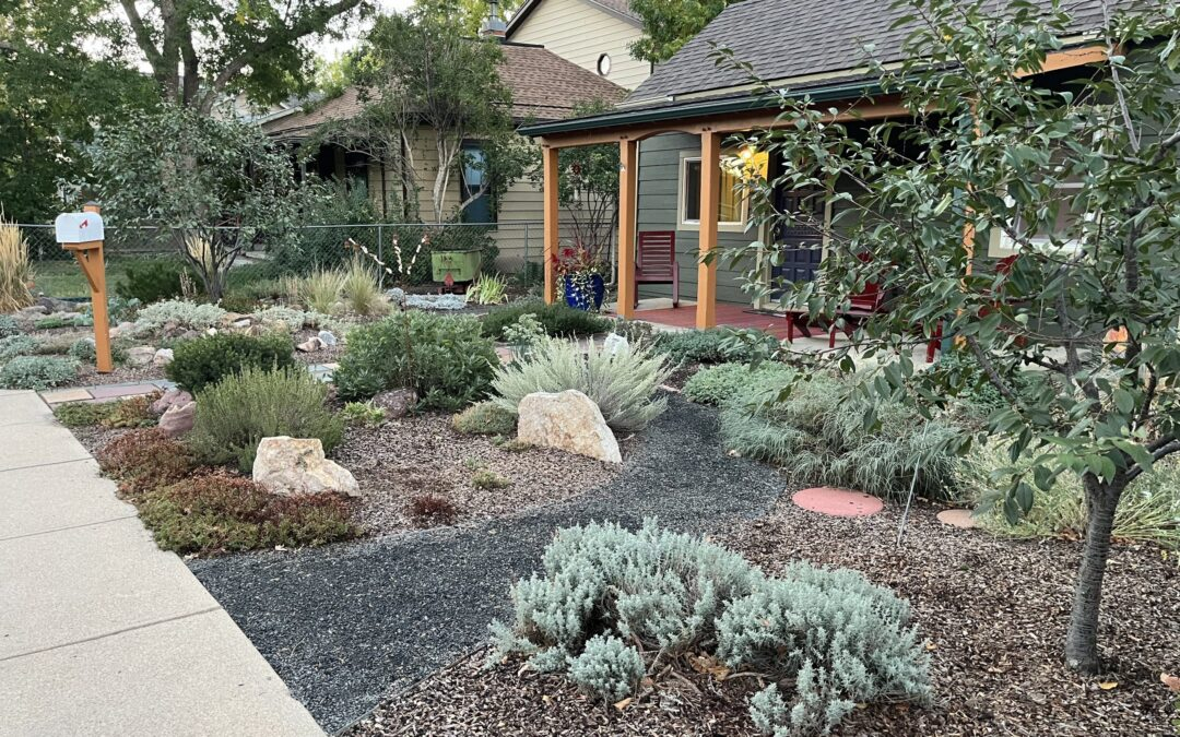 Another $1.2M Awarded To Help Replace Thirsty Grass, Leaky Sprinklers ... throughout The best low growing plants to replace thirsty turf grass in 2026