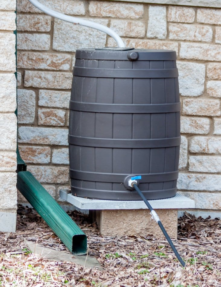 Collecting Rainwater For The Garden: A Step-By-Step Guide - Farmers ... regarding How Catching Rain Transforms Your Backyard and Your Water Budget