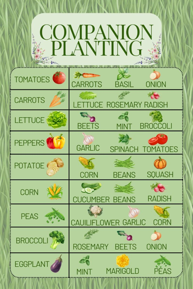 Companion Planting – Artofit regarding Companion Planting Chart Beginners