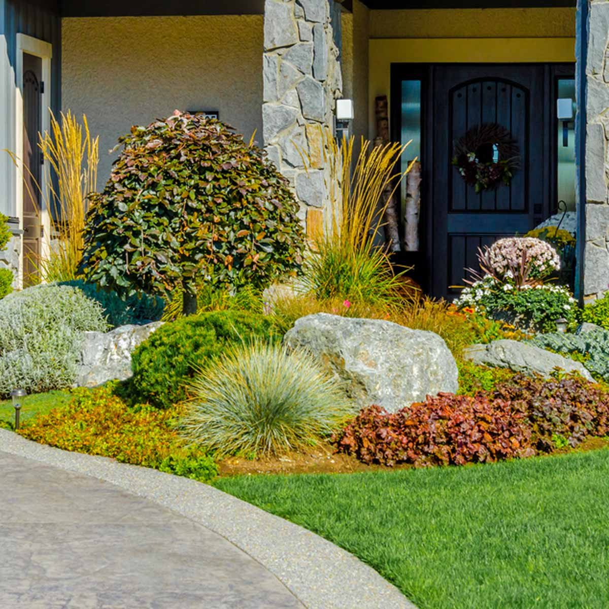 Easy Plants For Curb Appeal At Nancy Hutchinson Blog throughout How To Make Yard Look Professionally Landscaped Cheap