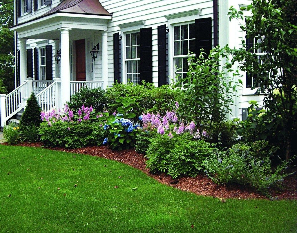 Foundation Shade Garden Plan At Willie Robbie Blog throughout Low Growing Plants For Curb Appeal